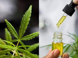 Thumbnail for Is Formulaswiss cbd oil Effective for Treating Depressive disorders?